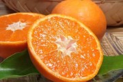 大棚柑橘怎么種植技術(shù)_能否采用遮陰棚降低光照和溫度