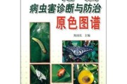 柑橘病蟲害圖譜與用藥時(shí)間_辛菌胺醋酸鹽能防柑橘潰瘍病嗎
