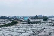 蒲江晚熟柑橘種植技術(shù)_紅心獼猴桃適合在哪里種植