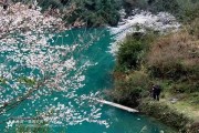 恩施柑橘種植技術(shù)_湖北省到底是屬于南方還是北方呢 恩施柑橘種植技術(shù)_湖北省到底是屬于南方還是北方呢