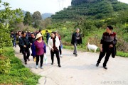大分4號(hào)柑橘種植技術(shù)_陽(yáng)光1號(hào)柑橘幾月成熟 大分4號(hào)柑橘種植技術(shù)_陽(yáng)光1號(hào)柑橘幾月成熟