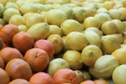 耙耙柑哪里產(chǎn)？探秘中國(guó)核心產(chǎn)區(qū)及果肉飽滿的耙耙柑特色