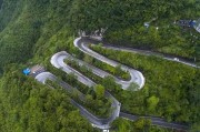 柑橘斜坡種植技術_還可以種點什么