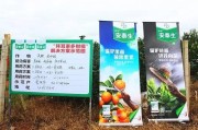 柑橘種植技術(shù)與管理圖片_柑橘有花無(wú)梢如何管理 柑橘種植技術(shù)與管理圖片_柑橘有花無(wú)梢如何管理