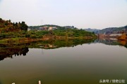 柑橘夏剪最佳時間是幾月份_如何促進(jìn)柑橘秋梢老熟