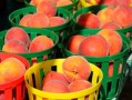 廣西沃柑廉江紅心橙哪個(gè)好吃（寶馬投屏）