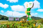 愛媛是哪里的_果凍橙為什么里面發(fā)紅