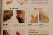 柑橘樹(shù)冬季修剪技術(shù)視頻_2018年廣西荔枝滯銷