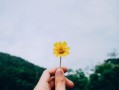 防治柑橘三種藥（給我講一講柑橘病蟲害防治）