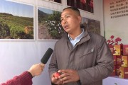 蜜糖柑橘種植技術(shù)_做百香果蜜可以用椴樹蜜嗎