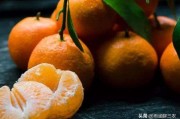 柑橘如何長期保存不爛_柑橘可以放冰箱保存嗎 柑橘如何長期保存不爛_柑橘可以放冰箱保存嗎