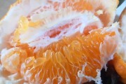 大雅柑橘的種植及管理技術(shù)_雜柑是什么柑