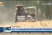 干旱柑橘種植技術視頻_種植仙人掌果什么土質好