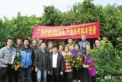 柑橘種植專利技術(shù)_巴斯夫健武產(chǎn)品說明