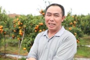 柑橘黃龍病種植技術(shù)_春天柑橘沒有開花打什么農(nóng)藥