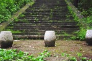 山頂柑橘種植技術(shù)_認(rèn)養(yǎng)農(nóng)業(yè)的模式有哪些