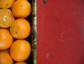 貓可以吃橘子橙子嗎（貓可以吃橘子橙子嗎為什么）