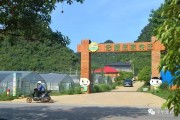 桂林柑橘種植技術(shù)_柑橘園種點(diǎn)什么 桂林柑橘種植技術(shù)_柑橘園種點(diǎn)什么