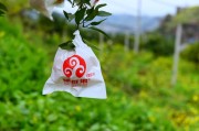 柑橘樹無公害種植技術(shù)_為了減少污染最好采取什么辦法防治害蟲呢