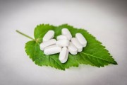 最抗凍柑橘品種什么？中國北方耐寒柑橘推薦榜單解析