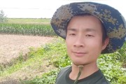 柑橘哪些病蟲害不能用藥_吡唑醚菌酯在柑橘的最佳使用時(shí)間 柑橘哪些病蟲害不能用藥_吡唑醚菌酯在柑橘的最佳使用時(shí)間