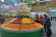廣西靈山柑橘苗種植技術(shù)_初中文化的巧婦9妹靠農(nóng)業(yè)直播年收入1000萬(wàn)
