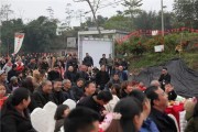 藏柑橘種植技術(shù)_桔子樹(shù)葉子掉了什么時(shí)候發(fā)芽
