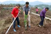 柑橘種植技術(shù)有聲書籍_幼樹6月可以追尿素嗎