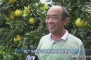 龍巖柑橘種植技術(shù)_今年水果價(jià)格上漲的原因是什么