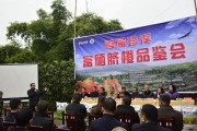 富硒柑橘種植技術(shù)管理_怎樣去調(diào)理才恢復(fù)