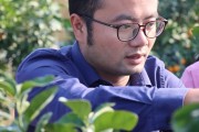 湖北柑橘種植技術(shù)ppt_湖北適合栽哪些果樹