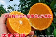 包含愛媛153號柑橘品種介紹的詞條