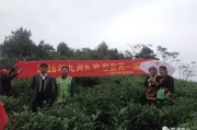 霞浦千畝柑橘種植技術(shù)_江庭伍橘友柑桔種植技術(shù) 霞浦千畝柑橘種植技術(shù)_江庭伍橘友柑桔種植技術(shù)
