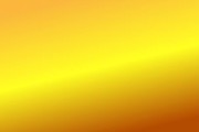 明日見柑橘怎樣栽植圖片大全圖解說視頻（明日見柑橘前景及經(jīng)濟(jì)效益怎么樣）