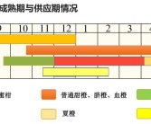 愛(ài)媛28號(hào)品種介紹_紅美人哪個(gè)品種最正宗