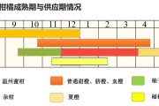愛媛28號品種介紹_紅美人哪個品種最正宗
