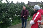 柑橘種植技術(shù)百科視頻大全_自媒體真能讓農(nóng)民致富嗎