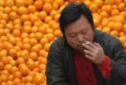 柑橘種植銷售技術(shù)_柑橘鐘式修剪與一桿三枝 柑橘種植銷售技術(shù)_柑橘鐘式修剪與一桿三枝