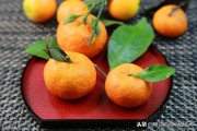 柑橘防蟲(chóng)網(wǎng)下種植技術(shù)_栽種綠植如何防止病蟲(chóng)害