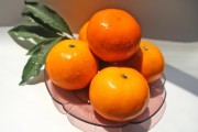 柑橘類(lèi)水果種植技術(shù)_柑橘種植技術(shù)與管理教案 柑橘類(lèi)水果種植技術(shù)_柑橘種植技術(shù)與管理教案