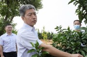 婁底柑橘種植新技術(shù)_衡陽隔壁是哪個(gè)市