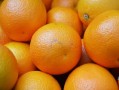生物農(nóng)藥殺柑橘紅蜘蛛（柑桔紅蜘蛛危害果實(shí)）