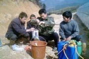 柑橘全年病蟲害進(jìn)程圖表_如何有效的預(yù)防跟治療柑橘砂皮病