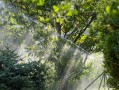 柑橘水肥管理技術視頻（柑橘水肥一體化視頻）
