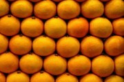 柑橘類成熟期的季節(jié)變化與果實(shí)品質(zhì)調(diào)控因素解析