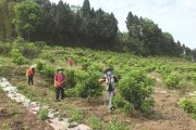 安岳縣柑橘病蟲(chóng)害有哪些_在農(nóng)村做養(yǎng)殖行業(yè)有沒(méi)有出路