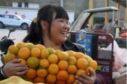 種植柑橘培訓技術(shù)文章_為什么地中海氣候適宜種植柑橘