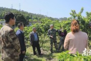 到村指導柑橘種植技術_源頭哪個鄉(xiāng)種柑橘比較多
