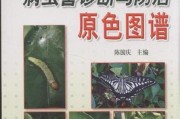 影響柑橘品質(zhì)的病蟲害_隨著氣溫的日益升高 影響柑橘品質(zhì)的病蟲害_隨著氣溫的日益升高