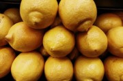 四川特大柑橘樹苗特大號：高產(chǎn)優(yōu)質(zhì)新品種助農(nóng)增收